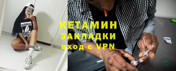 шишки Горняк