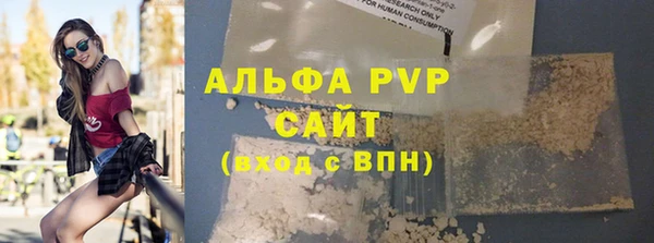 шишки Горняк