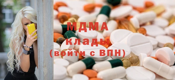 шишки Горняк