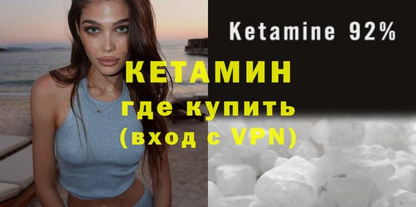шишки Горняк