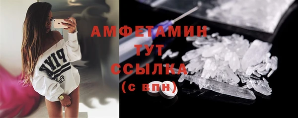 шишки Горняк