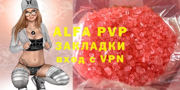шишки Горняк