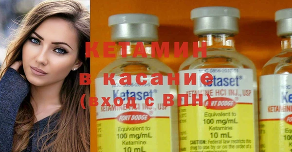 шишки Горняк