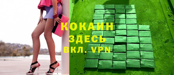 шишки Горняк