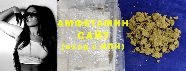 шишки Горняк