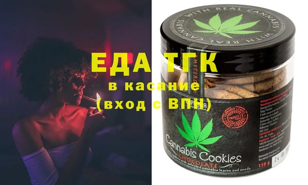 шишки Горняк