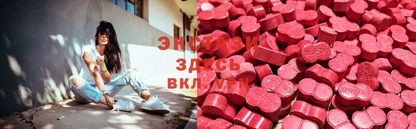 шишки Горняк